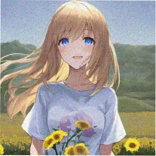 猫咪主理